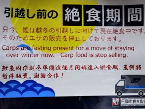 Carp to be Moved sign - SM (2)