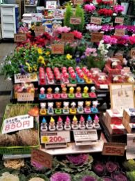 Omichi Market